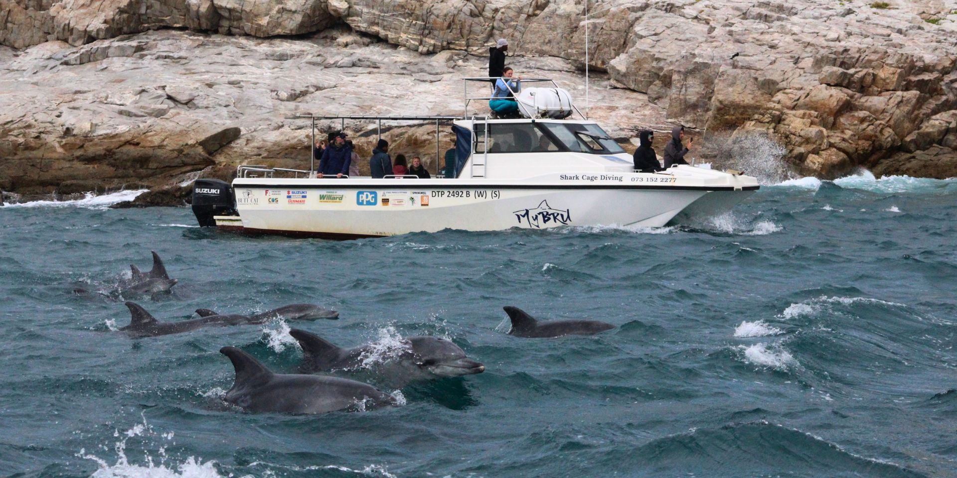 BPTT_Things to Do_Whale Cruise_Banner