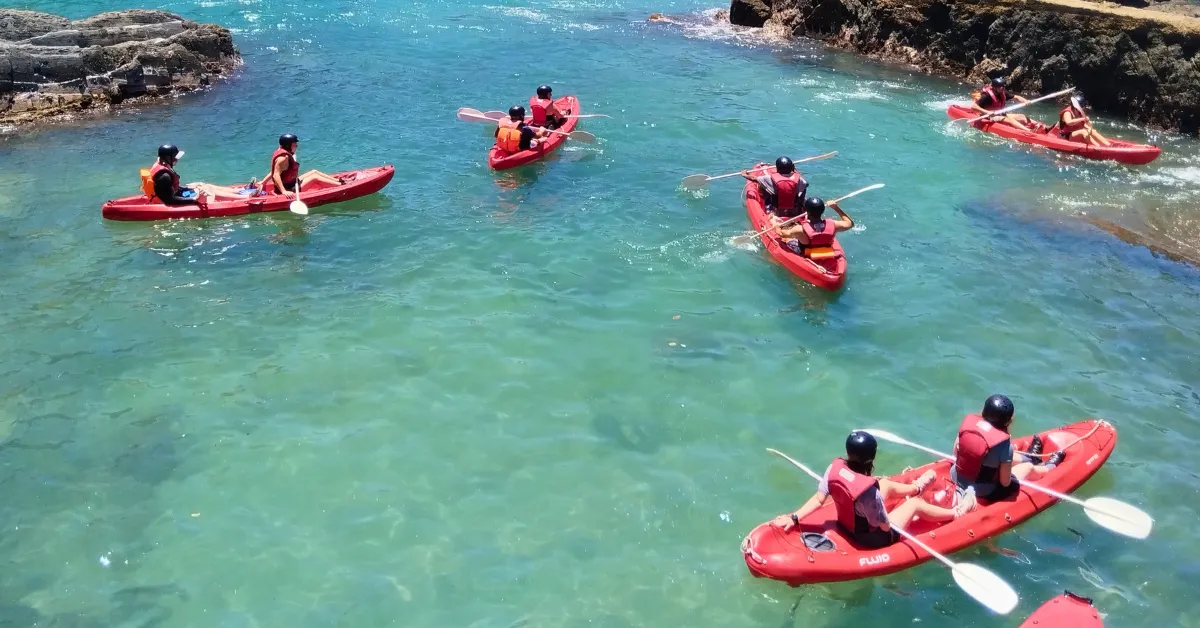 Garden Route Explorer Tsitsikamma_Bloukrans_Storms River_Banner