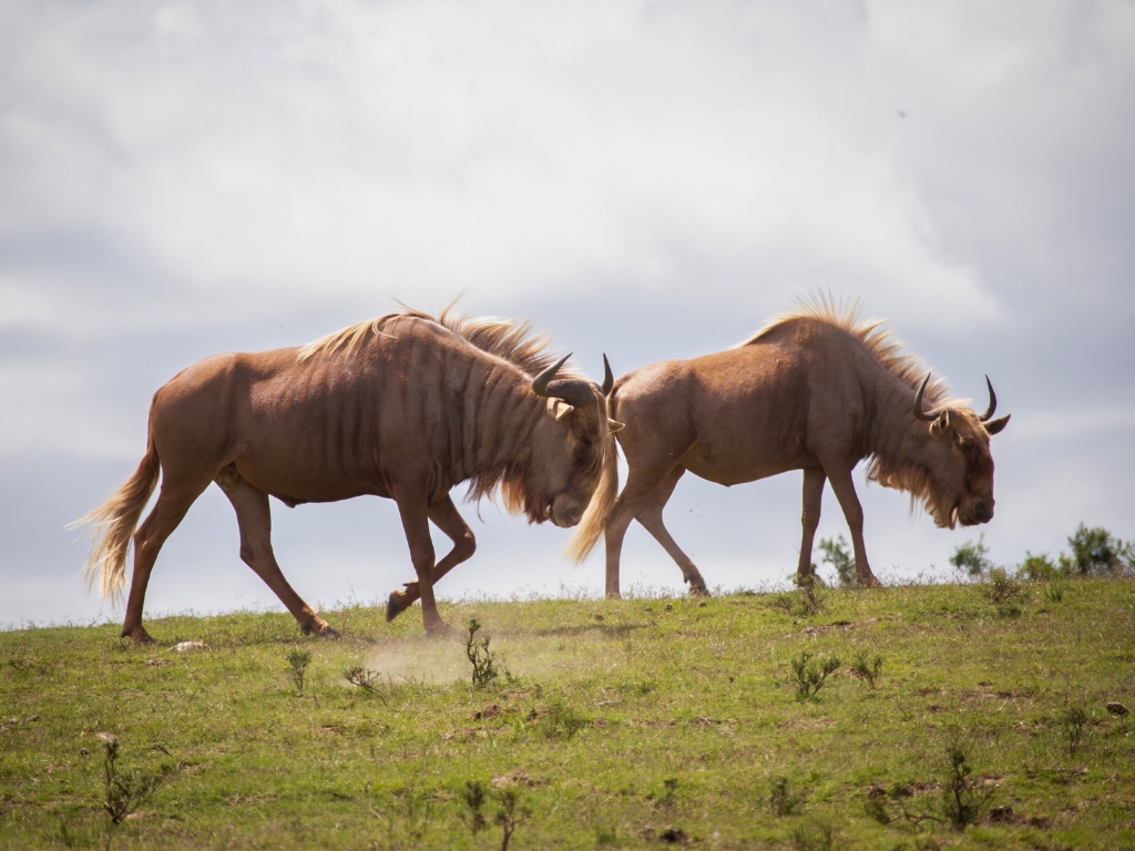 Pabala Private Nature Reserve Day Tour_Banner