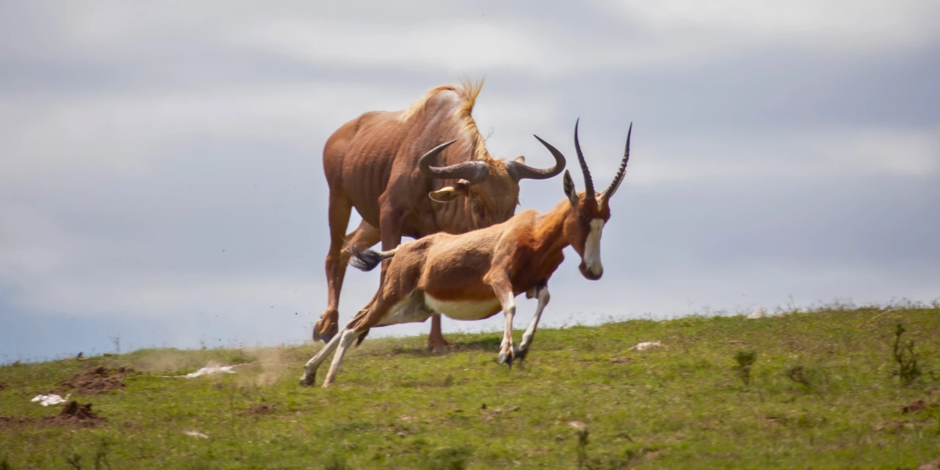 Pabala Private Nature Reserve