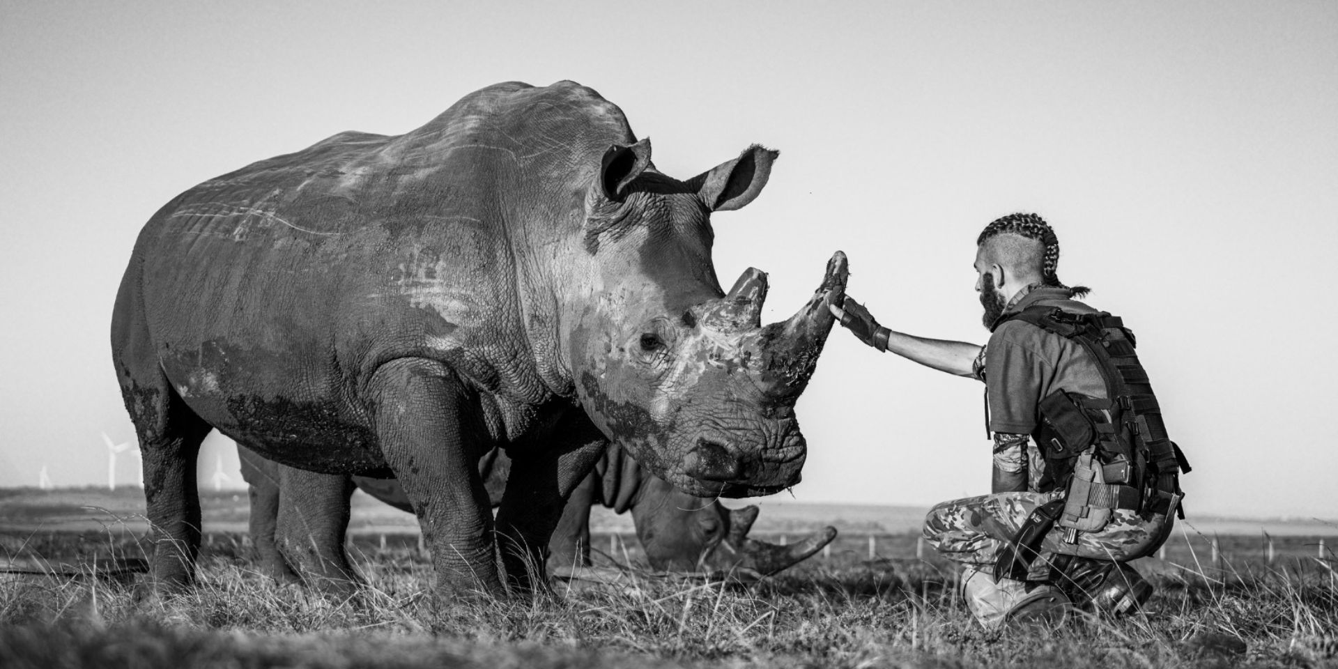 Things to Do Kouga Rhino Sanctuary_Banner