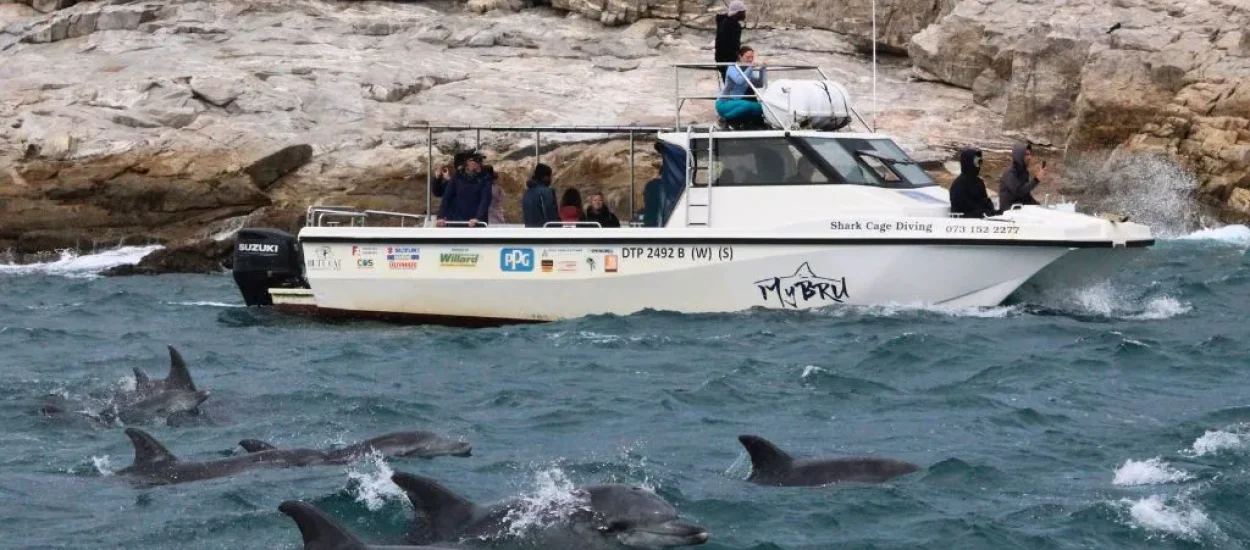 BPTT_Whale Cruise (1)