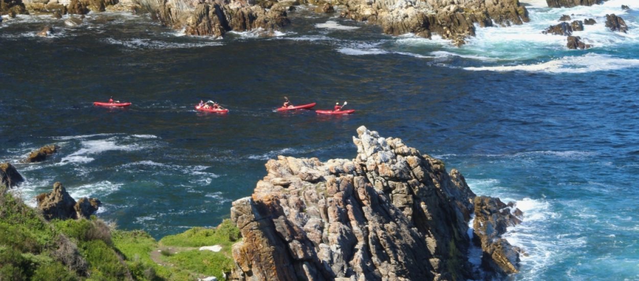 Garden Route Tours_Banner 2