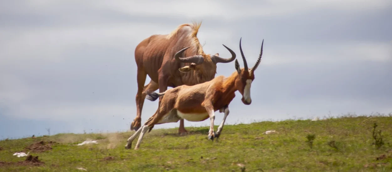 Pabala Private Nature Reserve